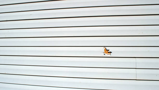 Best James Hardie Siding  in Grand Terrace, CA