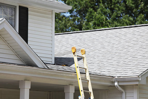 Affordable siding repair and maintenance services in Grand Terrace, CA
