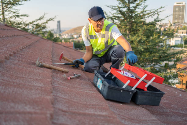 Professional Siding Installation & Repair in Grand Terrace, CA